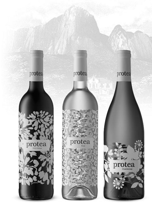 CÉPAGES PIERRE BOURRÉ