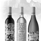 CÉPAGES PIERRE BOURRÉ